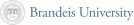 Brandeis International Business School